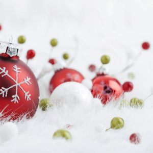 Decorazioni e Ornamenti Natalizi