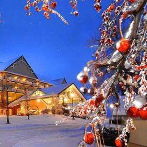 Meraviglia Invernale con Bacche Rosse