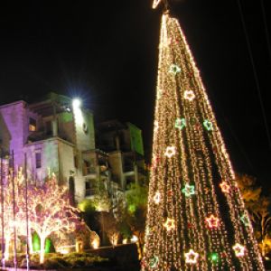 Albero di Natale Illuminato