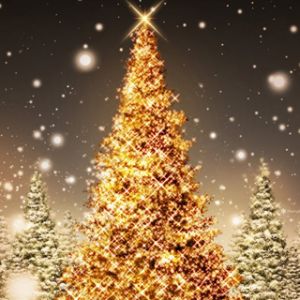 Bellissimo Albero di Natale