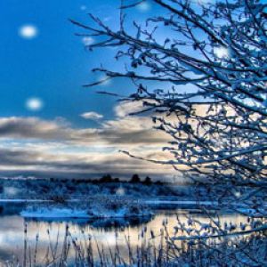 Paesaggio Invernale