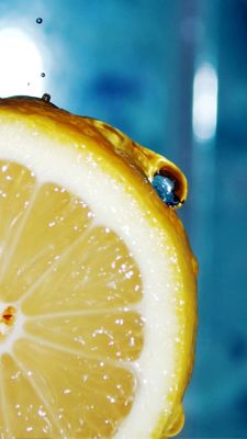 Fetta di Limone Fresco