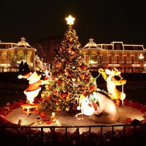 Decorazioni dell'Albero di Natale