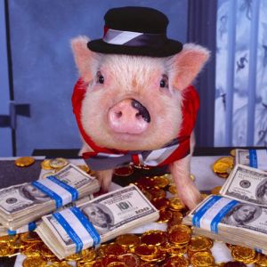 Maialino con Soldi e Cappello