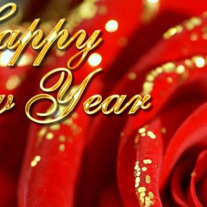 Rosa di Capodanno
