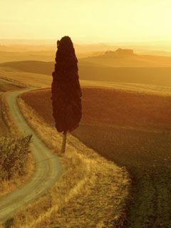 Paesaggio al Tramonto Dorato - wallpaper preview