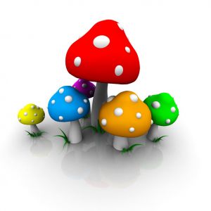 Funghi Colorati in Stile Cartone