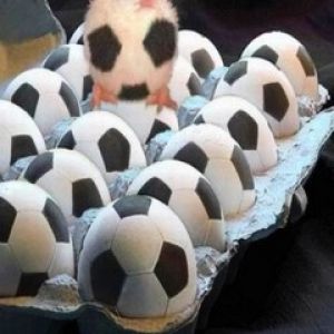 Pulcino Carino Tra Uova da Calcio