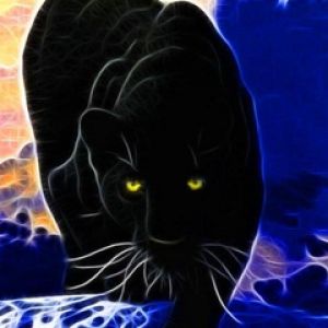 Pantera Nera Mistica