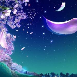 Cielo Notturno da Sogno con Petali