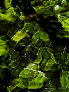 Pattern di Acqua Astratta Verde