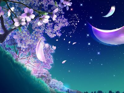 Fiore Notturno da Sogno - wallpaper preview