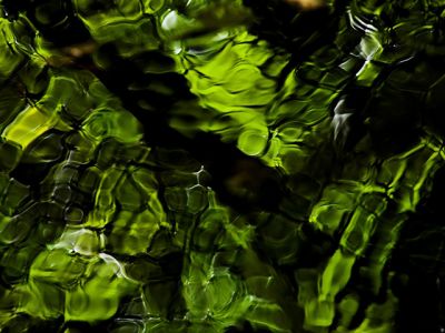 Riflesso Verde dell'Acqua - wallpaper preview