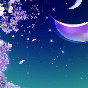Cielo Notturno da Sogno con Petali