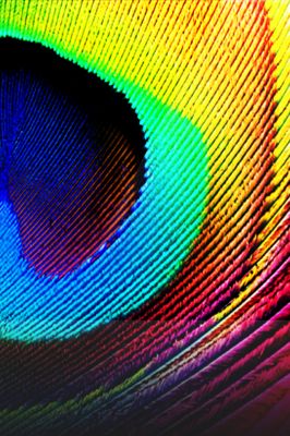 Motivi Arcobaleno Vivaci - wallpaper preview