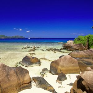 Paradiso della Spiaggia Tropicale