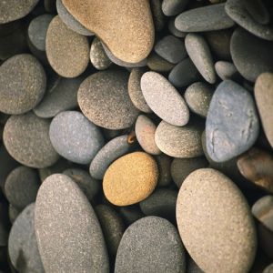 Ciottoli Lisci su una Spiaggia