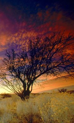 Stupenda Sunset su Paesaggio Desertico - wallpaper preview