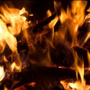 Fiamme e Tronchi