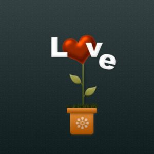 Design Fiore Cuore