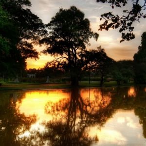 Riflesso del Tramonto nella Natura