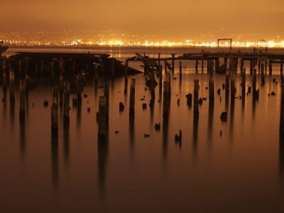 Riflesso Notturno di un Lago Sereno