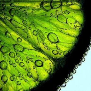 Fetta di Lime Fresco con Bollicine