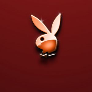 Logo Playboy