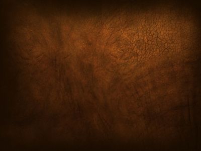 Texture in Pelle Marrone Scuro