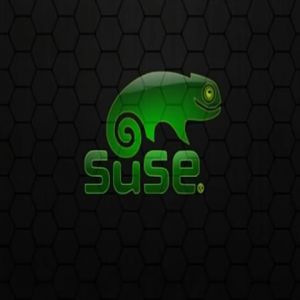 Sfondo Logo SUSE