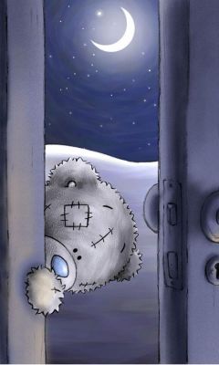 Orsetto Carino di Notte - wallpaper preview