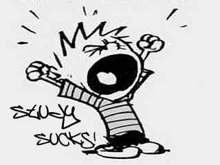Calvin e lo studio fa schifo