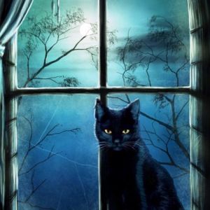 Gatto Nero Mistico alla Finestra