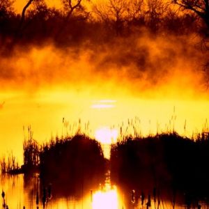 Tramonto Dorato sul Mare