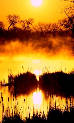 Tramonto Dorato sul Mare - wallpaper preview