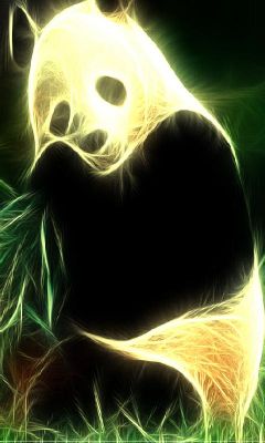 Panda Luminoso