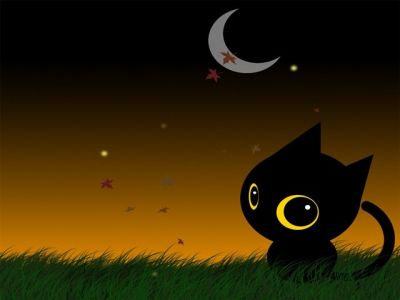 Gatto Nero Carino di Notte - wallpaper preview