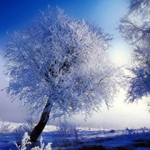 Paesaggio Invernale Gelido