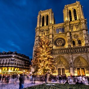 Cattedrale di Notre Dame a Natale
