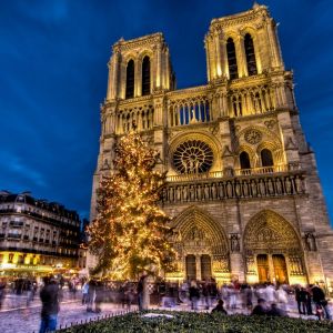 Cattedrale di Notre Dame a Natale