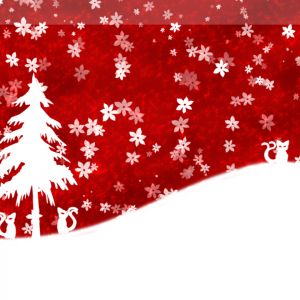 Gatti e Albero di Natale