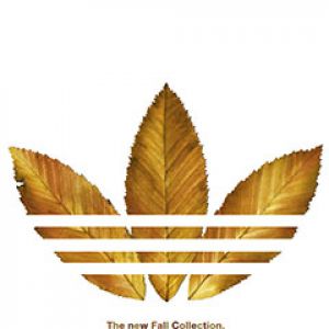 Adidas Collezione Autunnale Foglie