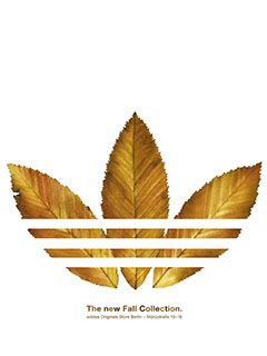 Adidas Collezione Autunnale Foglie - wallpaper preview