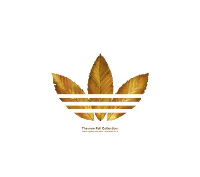 Collezione Autunnale Adidas - wallpaper preview