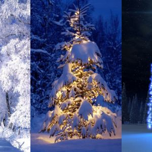 Inverno Incantevole di Natale