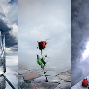 Arte e natura emotiva