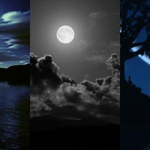 Paesaggio Notturno Illuminato dalla Luna