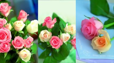 Bellissimo Mazzo di Rose - wallpaper preview