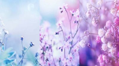 Sfondo Floreale Delicato - wallpaper preview