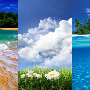 Spiagge Tropicali e Vedute Oceaniche